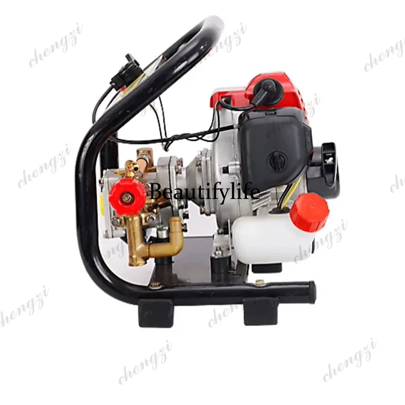 2-Stroke High Pressure Sprayer - Agriculture Gardening Farming 评论和价格