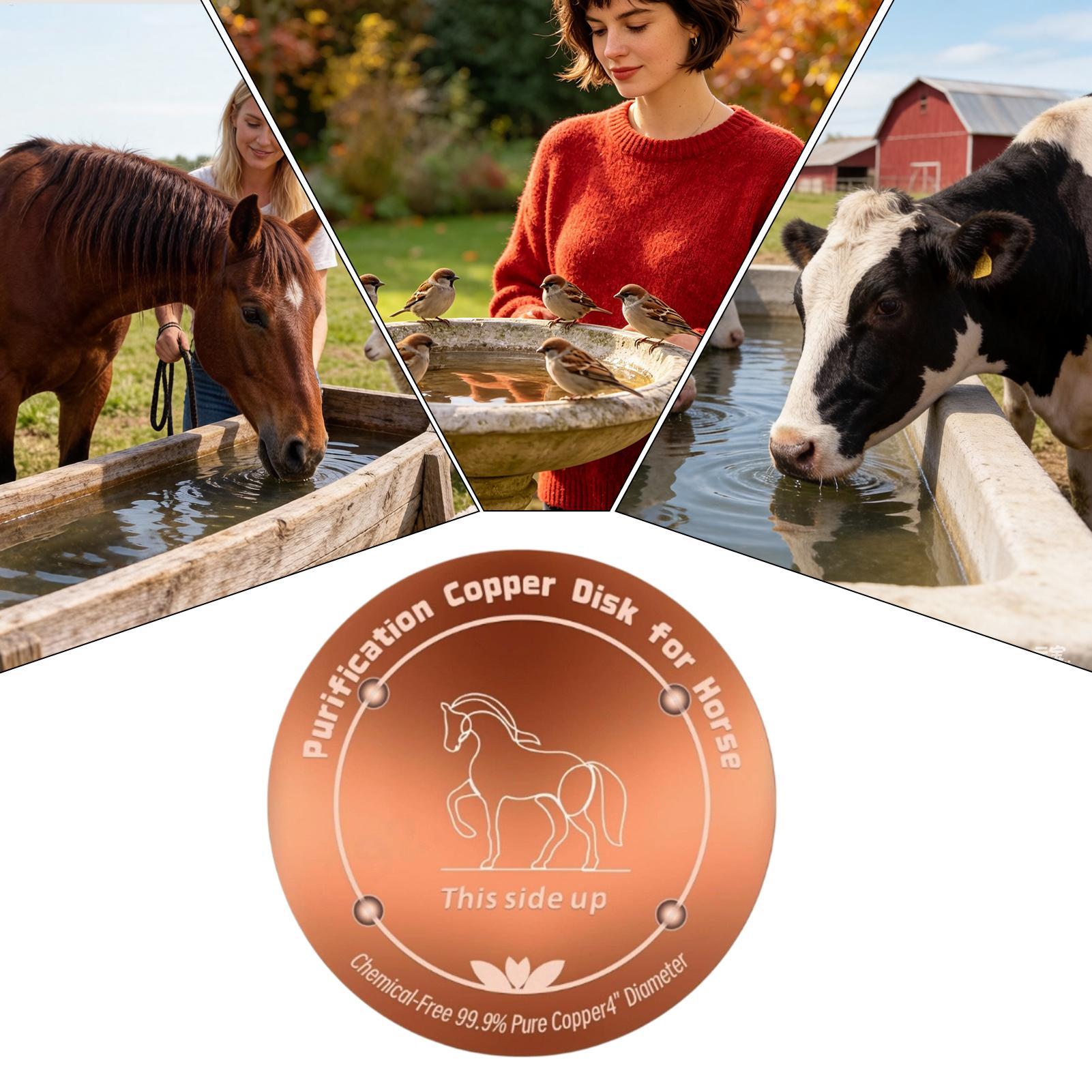 4 Inch Copper Purifier Cow Wat - Farming A 评论和价格