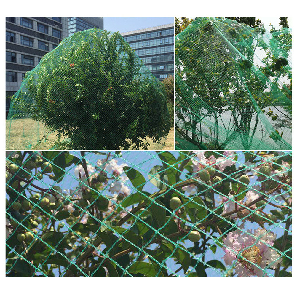 15M Anti Bird Net Green Fruit  - Agriculture Gardening Farming 评论和价格