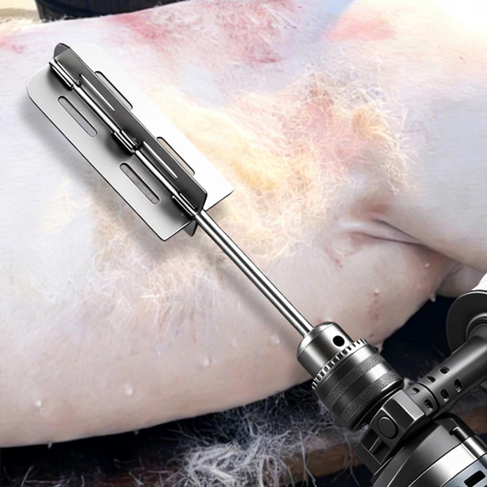 Hog Hair Removal Tool Stainles - Farming A 评论和价格