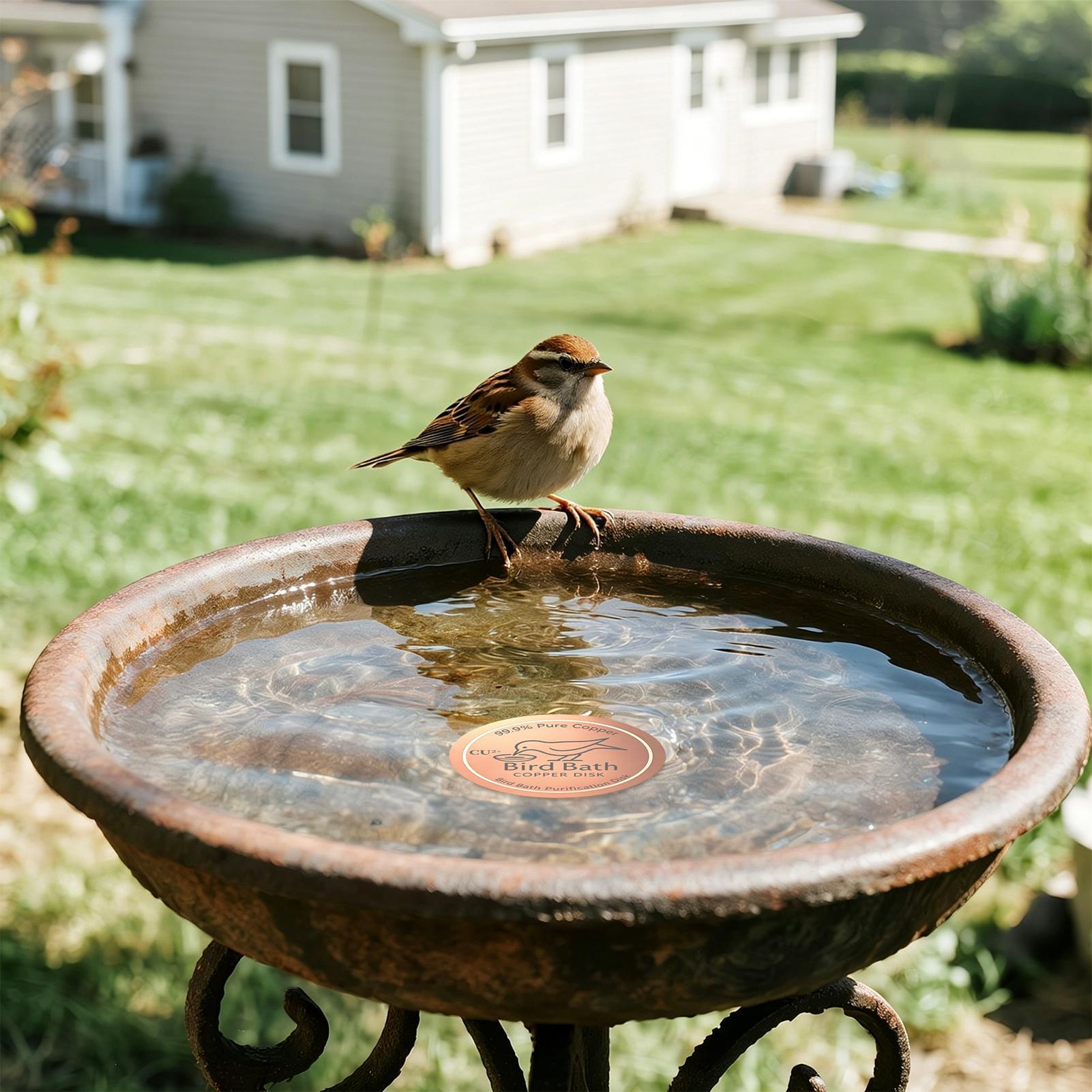 Bird Bath Copper Disc 0.6mm Th - Farming A 评论和价格